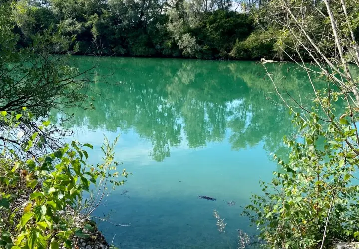 Moosach Weiher