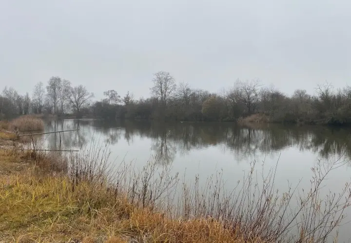 Moosach Weiher