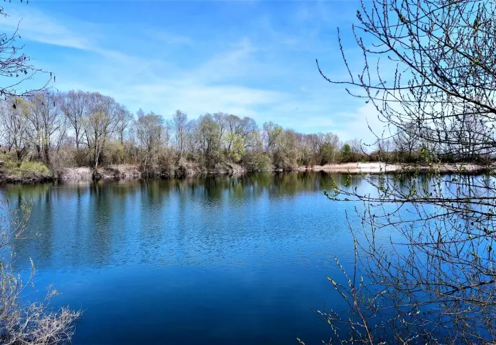 Moosach Weiher