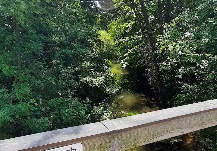 Renaturierung der Moosach