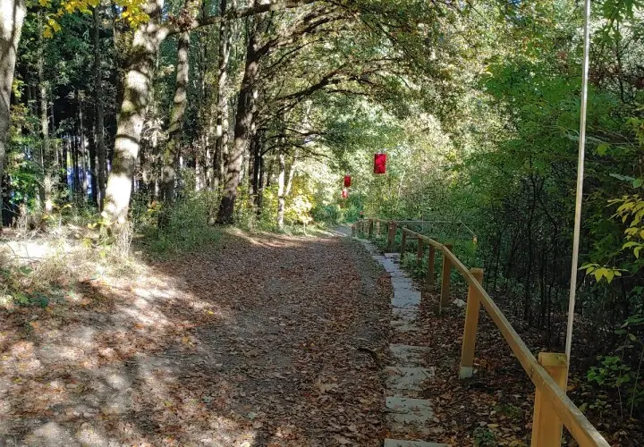 Balasai Park