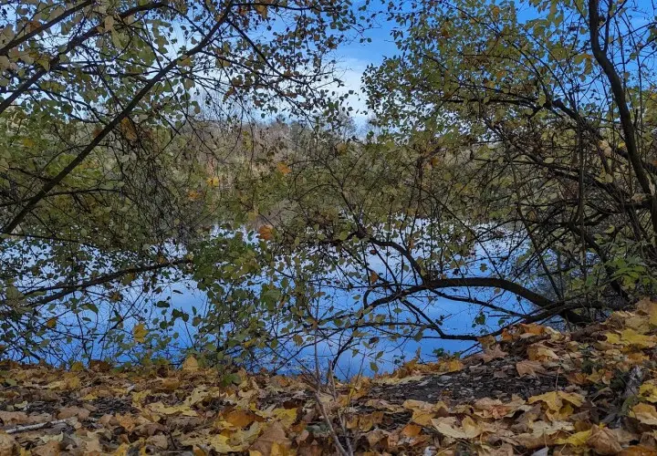 Acheringer See