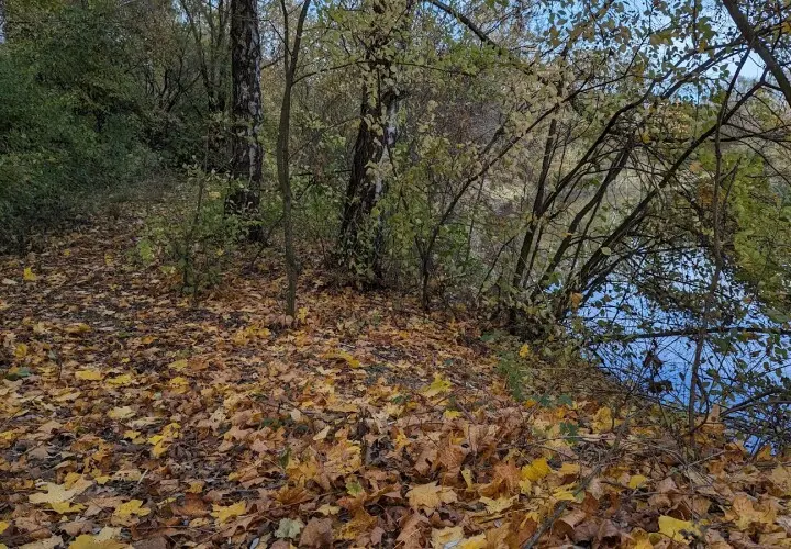 Acheringer See
