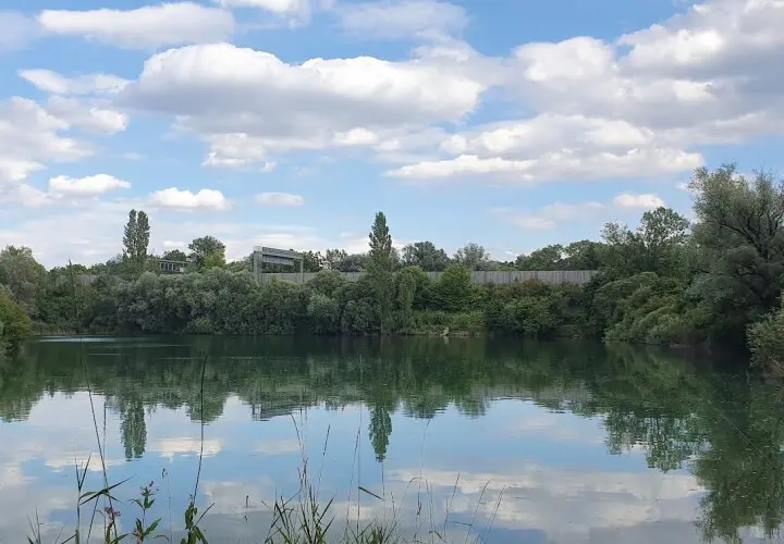 Acheringer See