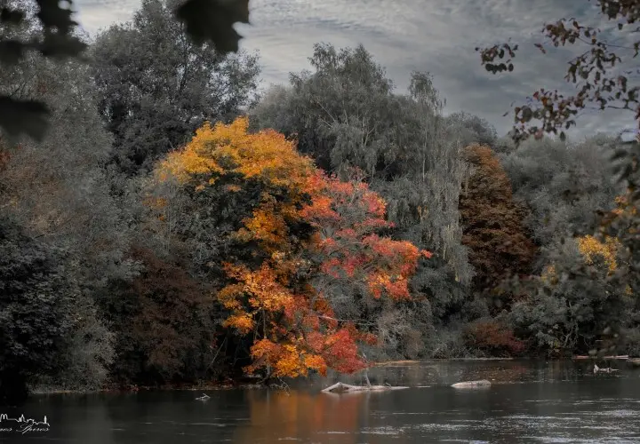 Zusammenfluss von Amper und Würm