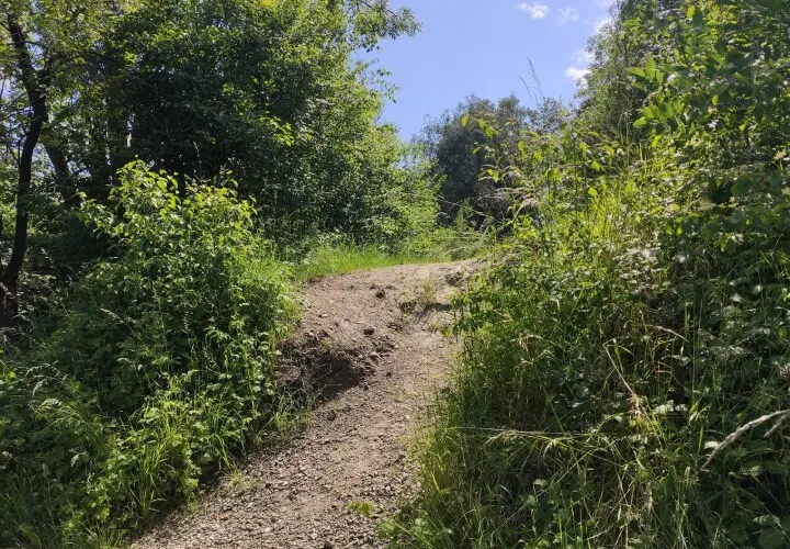 Zusammenfluss von Amper und Würm