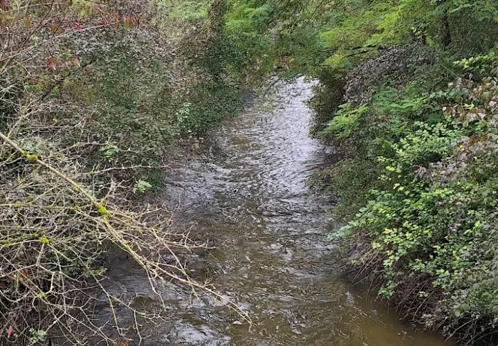 Zusammenfluss von Amper und Würm