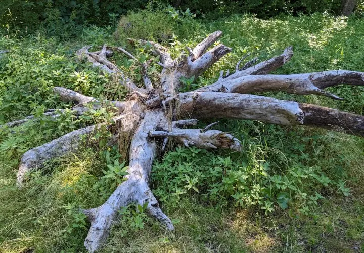 Stromschnellen der Amper