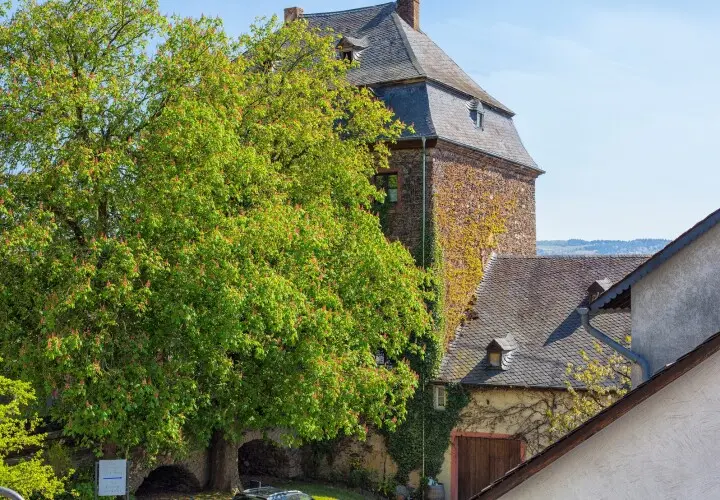 Weingut zur Burg