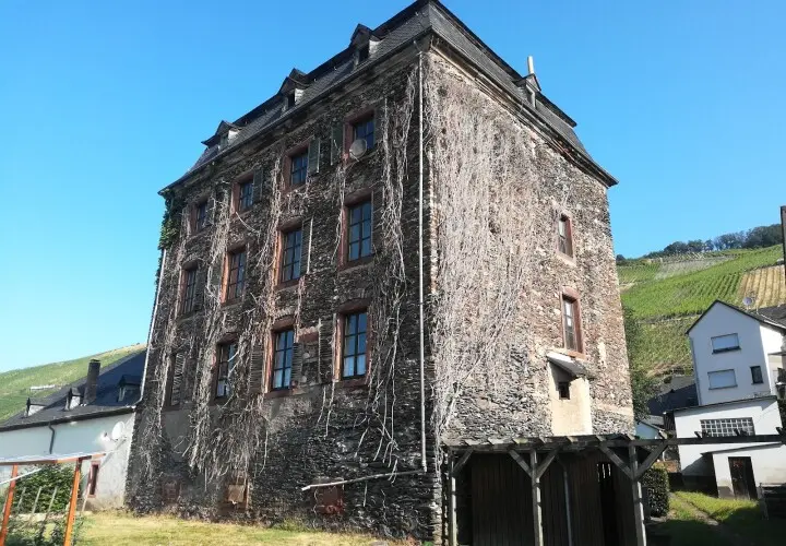 Weingut zur Burg