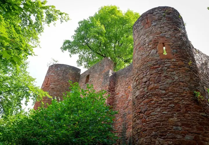 Burg Montclair