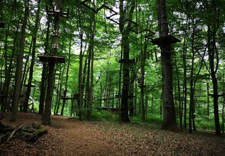 AbenteuerPark-Saar - Kletterpark in Saarbrücken