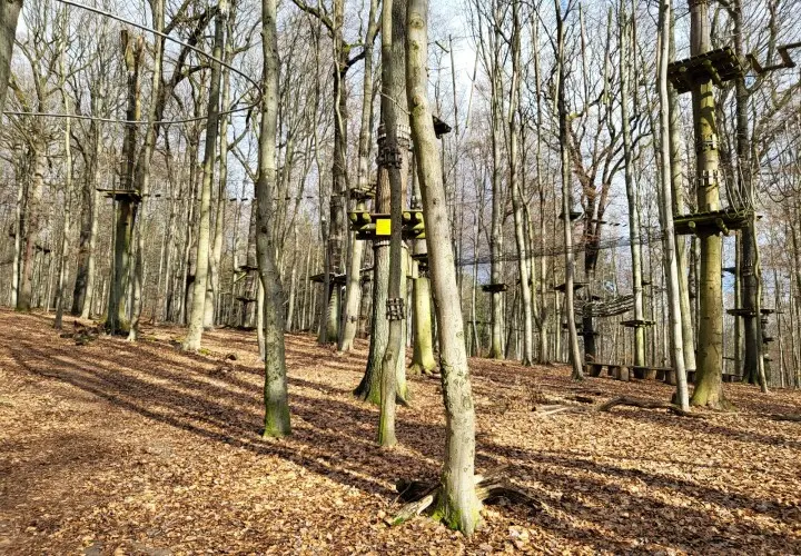 AbenteuerPark-Saar - Kletterpark in Saarbrücken