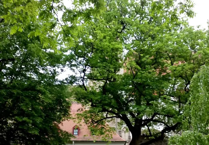 Bürgerhaus Pfersee