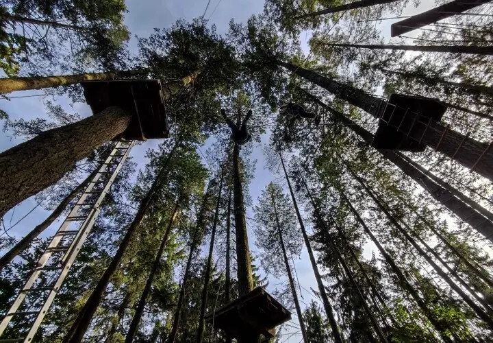 Waldseilgarten Trier