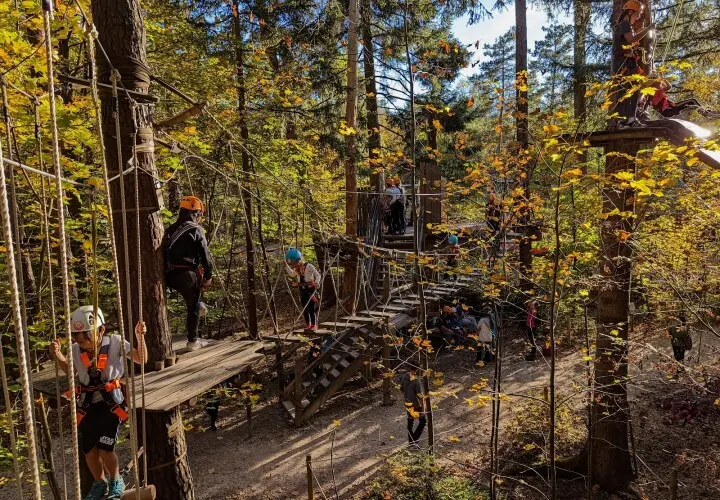 Münchner Wald Kletterwald Vaterstetten