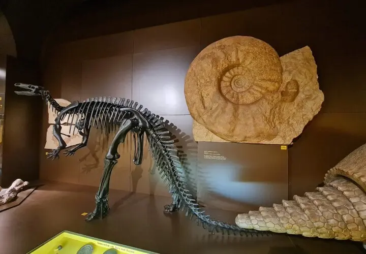 Museum Mensch und Natur