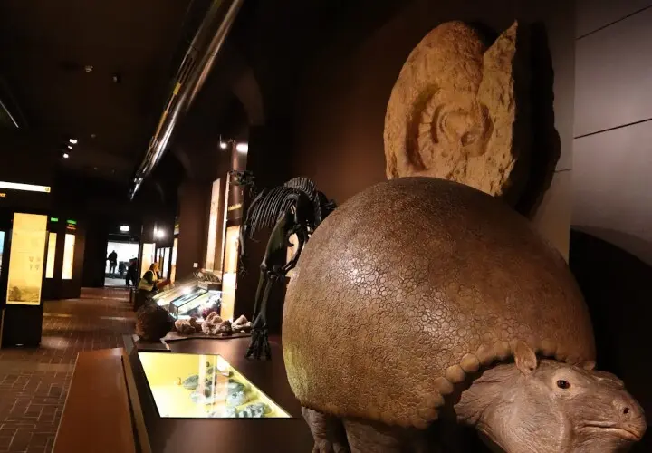 Museum Mensch und Natur