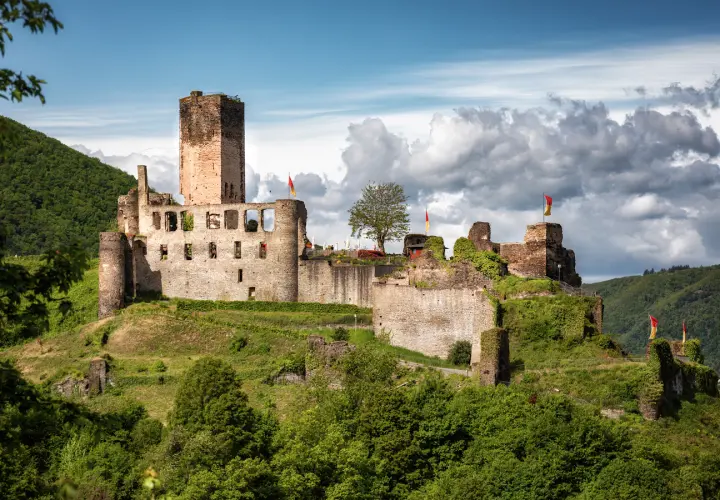 Burg Metternich