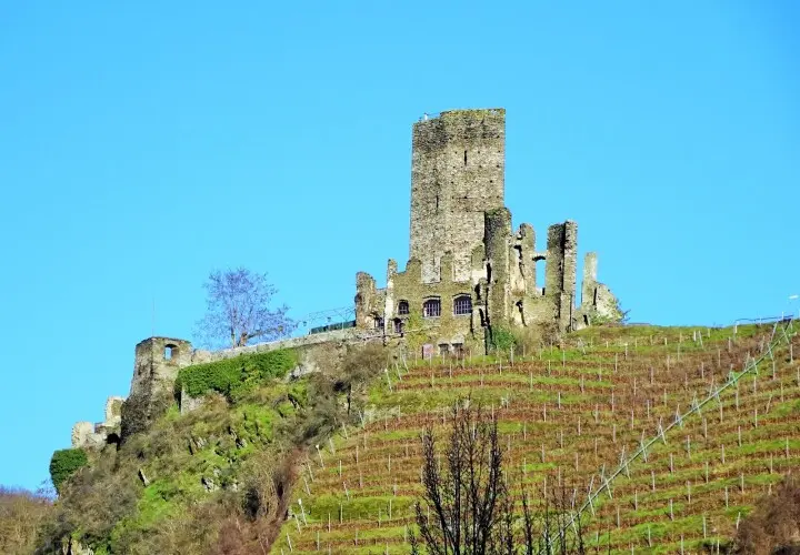 Burg Metternich