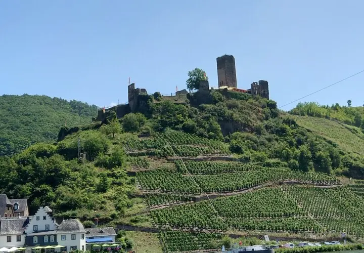Burg Metternich
