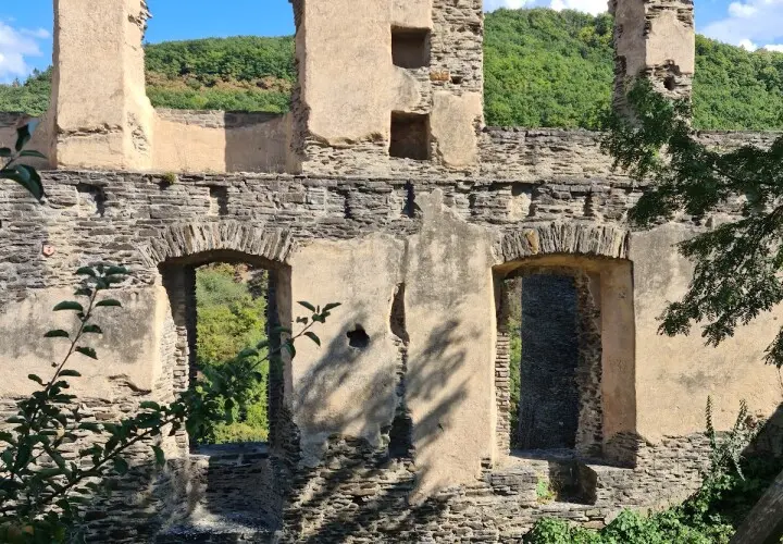 Burg Metternich