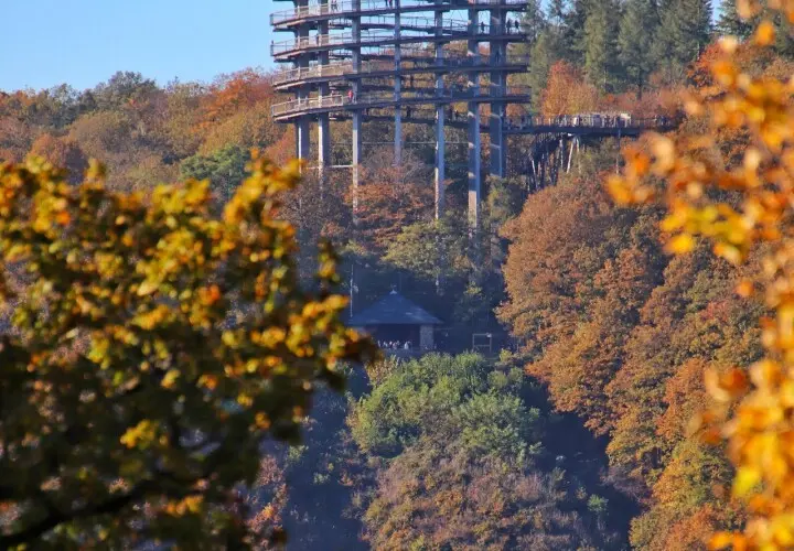 Burg Montclair