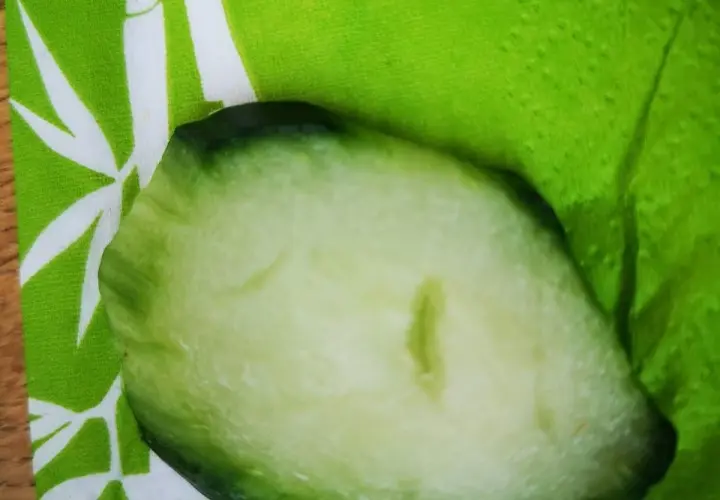 Bambusgarten