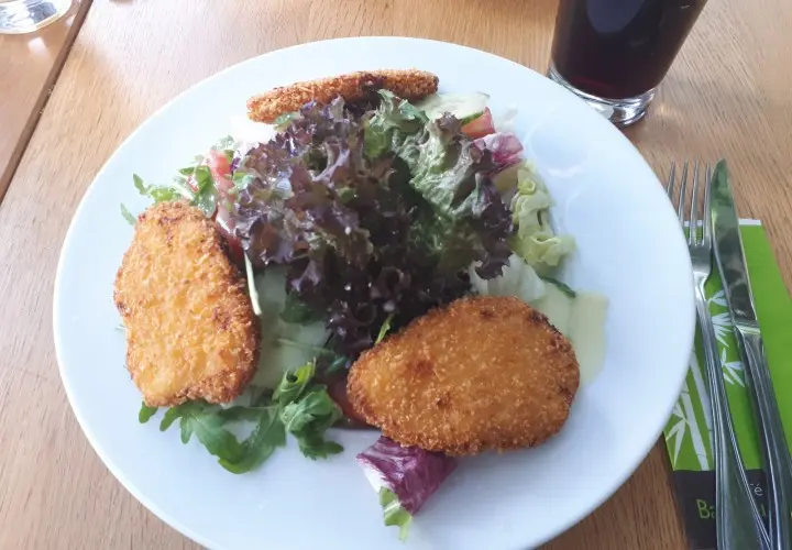 Bambusgarten