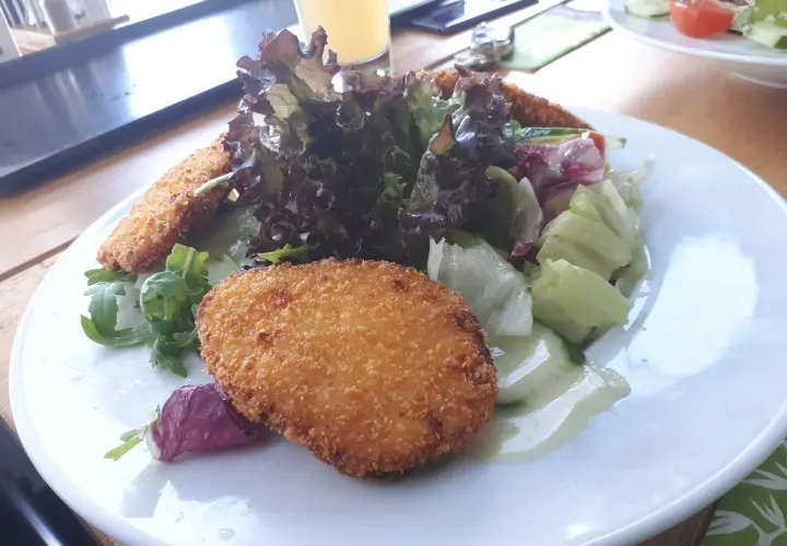 Bambusgarten