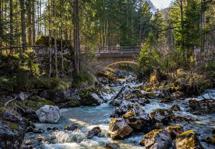Zauberwald, Ramsau bei Berchtesgaden
