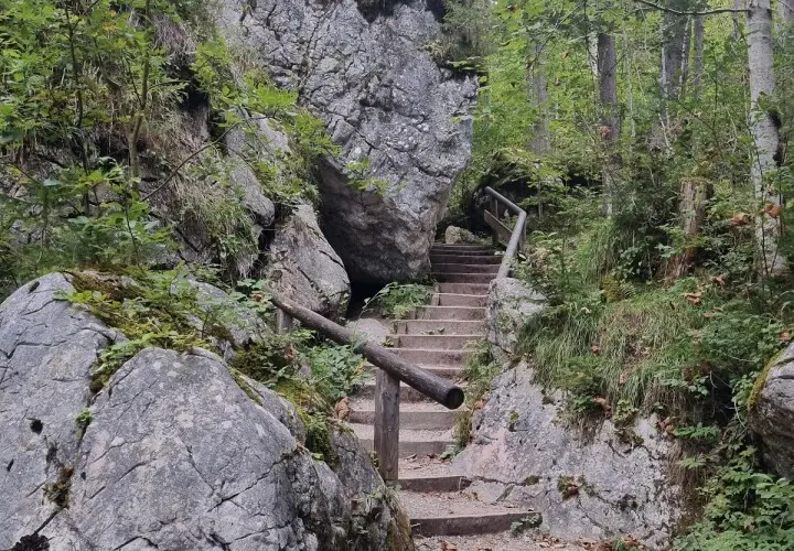 Zauberwald, Ramsau bei Berchtesgaden
