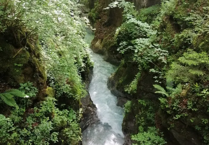 Zauberwald, Ramsau bei Berchtesgaden