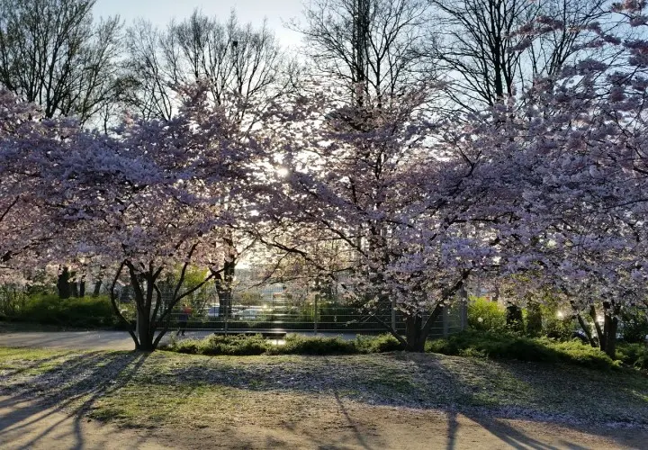Spielplatz Planten Un Blomen