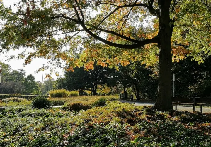 Spielplatz Planten Un Blomen