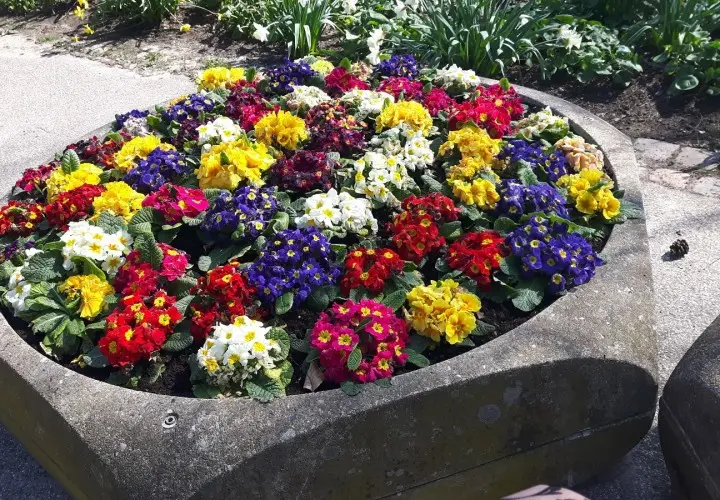 Spielplatz Planten Un Blomen