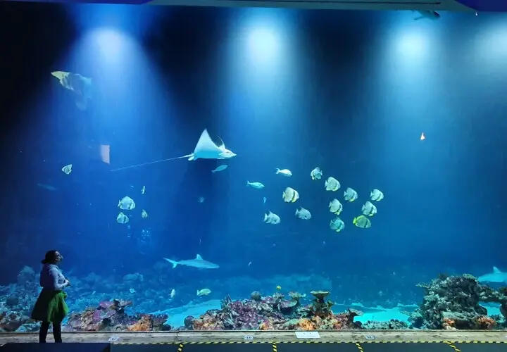 Tropen-Aquarium Hagenbeck