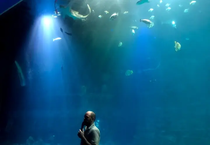 Tropen-Aquarium Hagenbeck