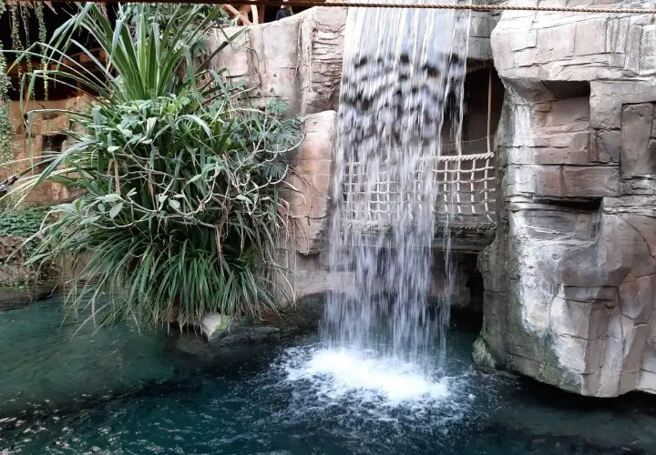 Tropen-Aquarium Hagenbeck