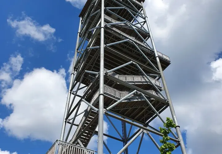 Wildpark Schwarze Berge