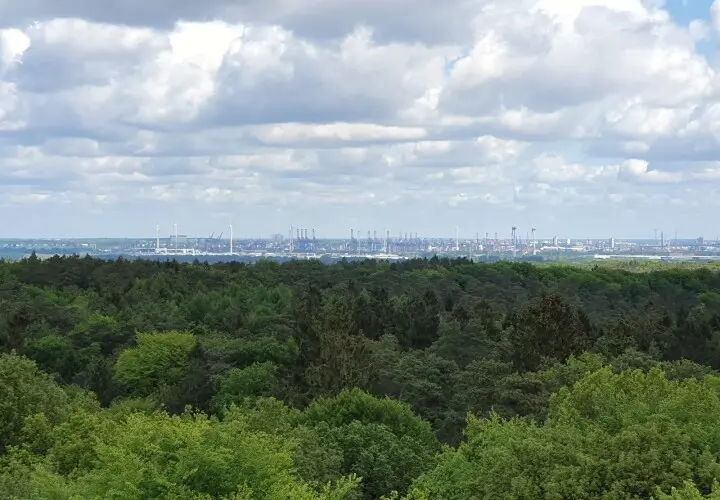 Wildpark Schwarze Berge