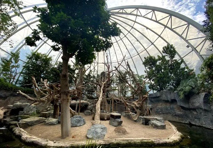 Das Orang-Utan-Haus