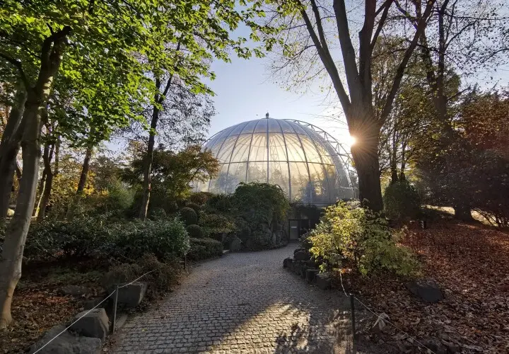 Das Orang-Utan-Haus