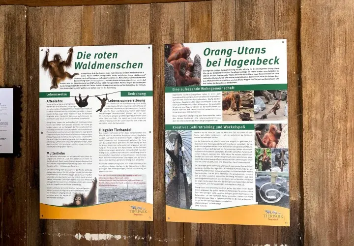 Das Orang-Utan-Haus