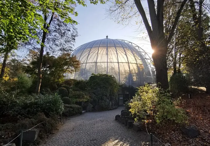 Das Orang-Utan-Haus