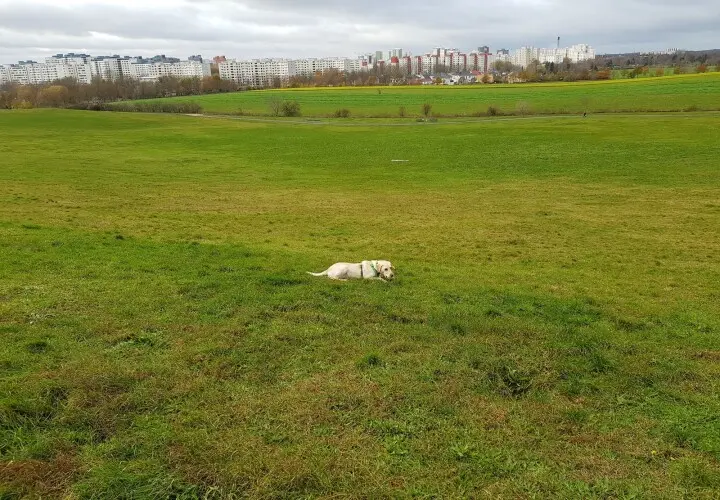 Freizeitpark Lübars