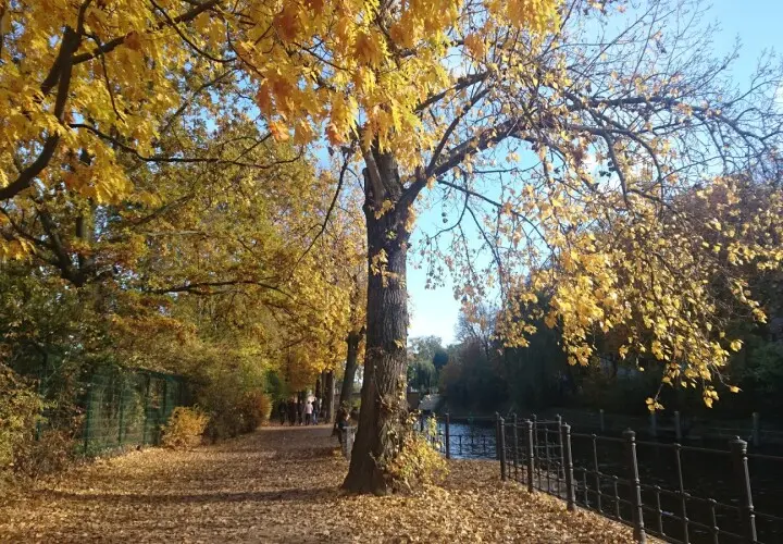 Sommerbad Kreuzberg - Berliner Bäder