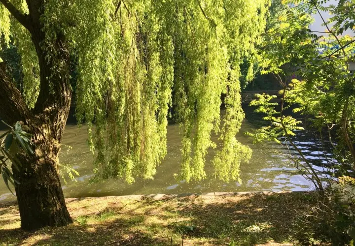 Sommerbad Kreuzberg - Berliner Bäder
