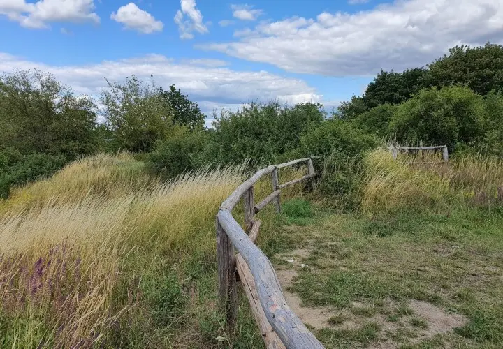 Freizeitpark Marienfelde