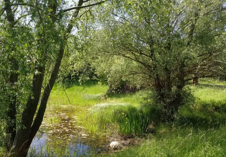Freizeitpark Marienfelde